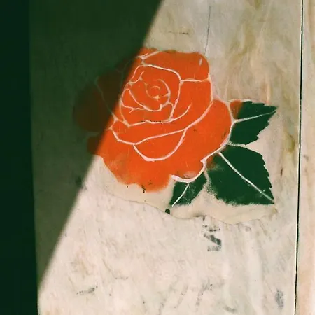 모나 아테네